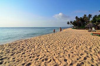 Hotel Thanh Kieu Beach Resort