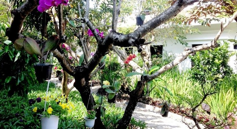 Hotel Muca Hoi An Boutique Resort & Spa