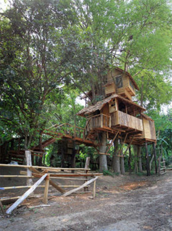 Hotel Rabeang Pasak Treehouse Resort