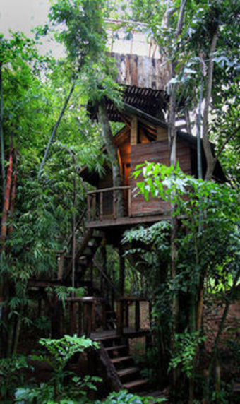 Hotel Rabeang Pasak Treehouse Resort