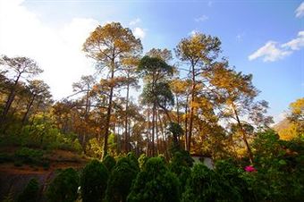 Hotel Country Inn Sattal