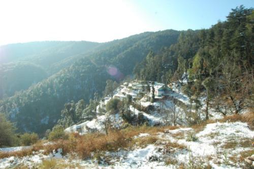 Apartamento Natureraga Fernhill Resort Chail