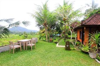 Hotel Cepik Villa