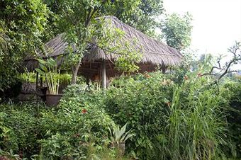 Hotel Cepik Villa