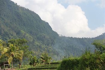 Hotel Cepik Villa