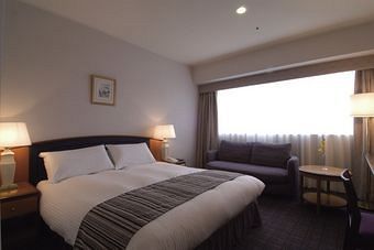 Hotel Nikko Himeji