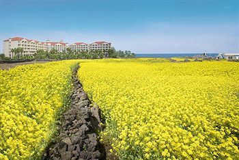 Apartamento Daemyung Resort Jeju