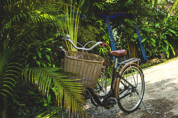Hotel Ock Pop Tok Mekong Villa
