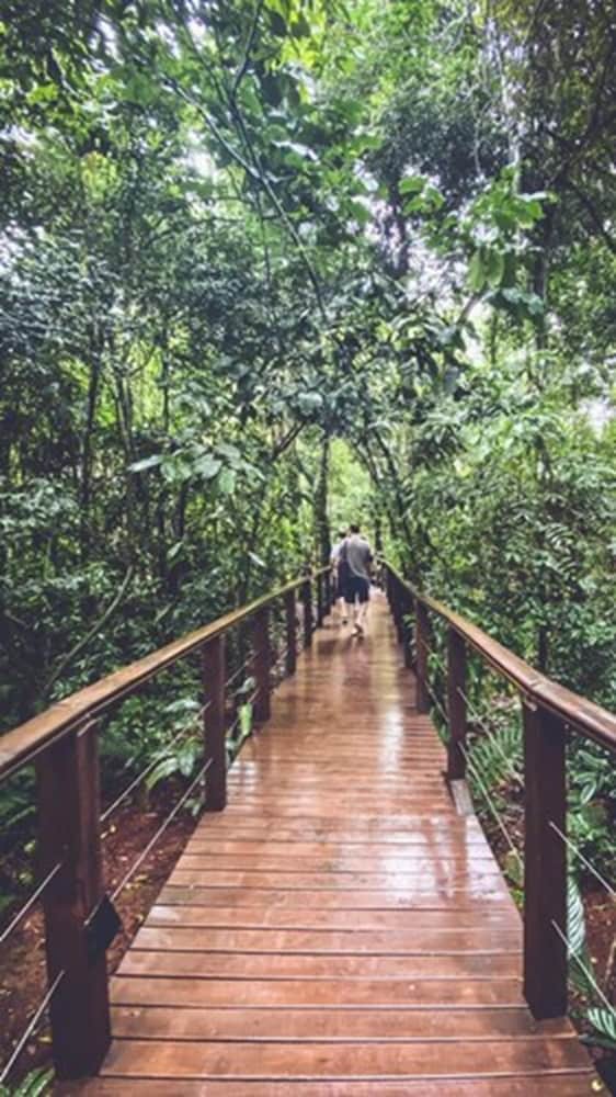 Posada Selva De Laurel