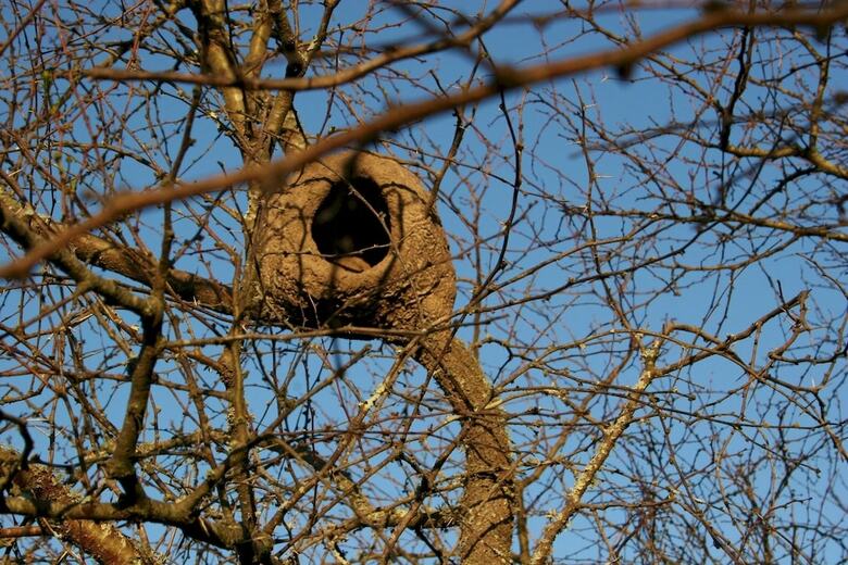 Posada Estancia R�o De Las Aves