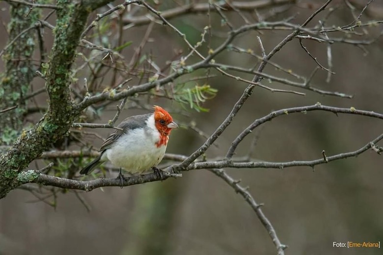 Posada Estancia R�o De Las Aves