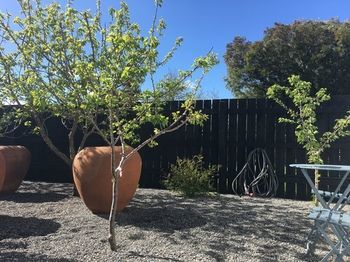 Hotel Aylstone Boutique Retreat