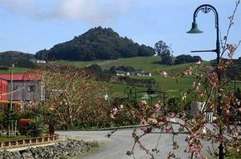 Bed & Breakfast Sugarloaf Lodge