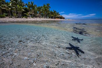Hotel Bounty Island Resort