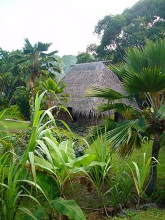 Apartamento Gecko's Resort