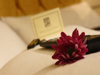 Hotel Plaza Del Bosque