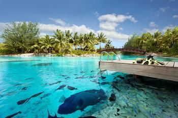 Apartamento The St. Regis Bora Bora Resort