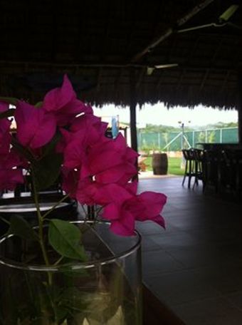 Machele' S Place Beachside Hotel & Pool