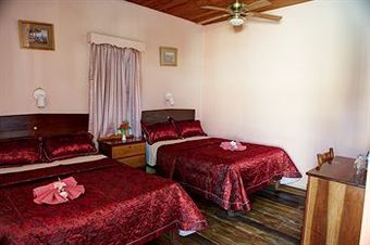 Tropical Paradise Hotel