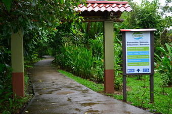 Posada Tirimbina Rainforest Lodge