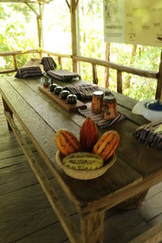 Posada Tirimbina Rainforest Lodge