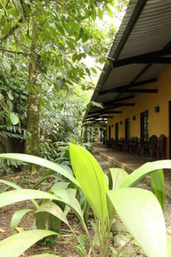Posada Tirimbina Rainforest Lodge