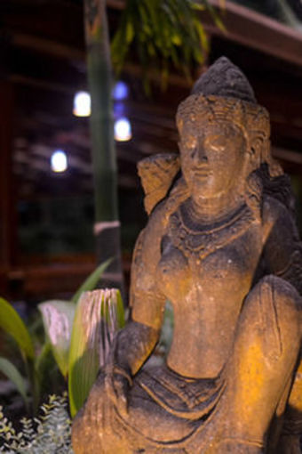 Hotel Blue Osa Yoga Retreat & Spa