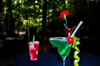 Hotel Termales Del Bosque