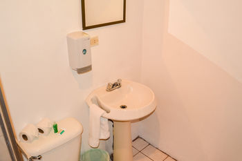 Hotel Termales Del Bosque