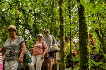 Hotel Termales Del Bosque