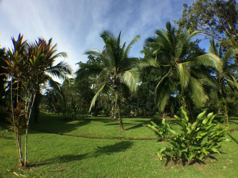 Posada Caribbean Paradise Eco-lodge