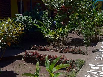 Cabinas El Icaco Tortuguero - Hostel