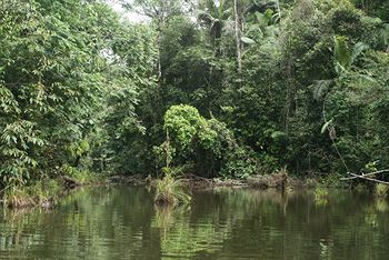 Posada Laguna Del Lagarto Lodge