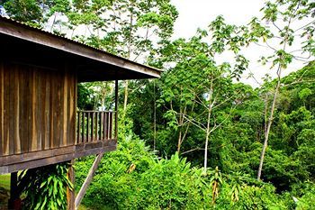 Posada Finca Luna Nueva Lodge