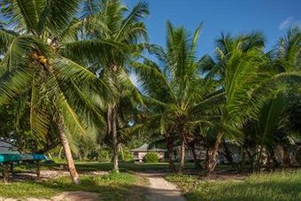 Posada Iles Des Palmes Eco Resort