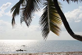 Apartamento Blu Marlin Village