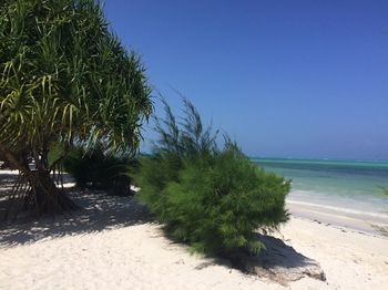Hotel Neptune Pwani Beach Resort & Spa - All Inclusive