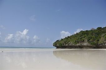 Hotel Ras Michamvi Beach Resort