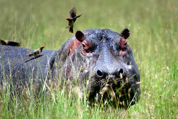 Agroturismo Azura Selous