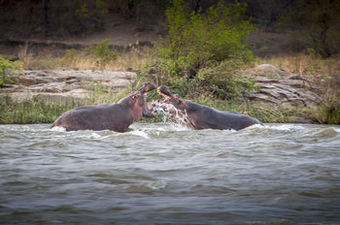 Agroturismo Azura Selous