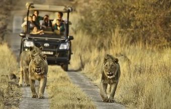 Posada Morokolo Game Lodge