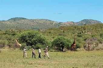 Posada Madikwe Safari Lodge