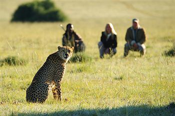 Posada Shamwari Game Reserve