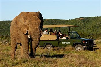 Posada Shamwari Game Reserve