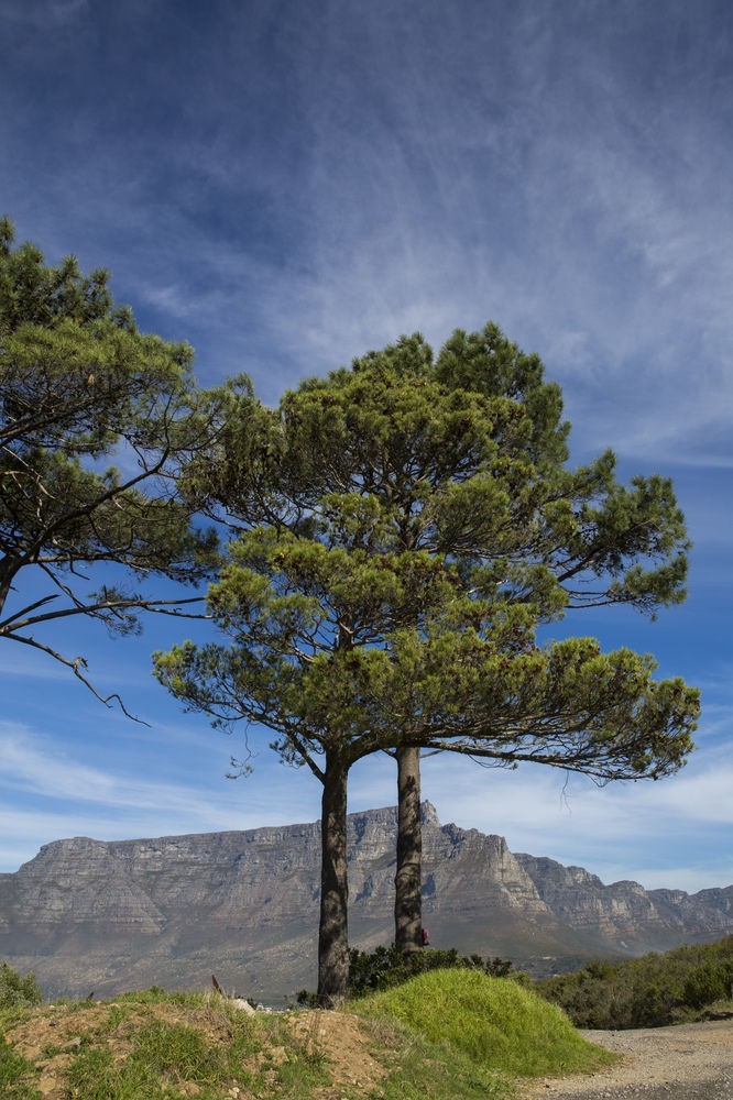 Hotel Park Inn By Radisson Cape Town Foreshore