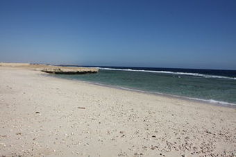 Apartamento Beachsafari Resort
