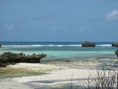 Hotel Turtle Bay Beach Club