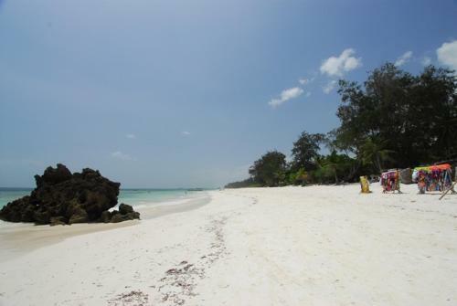 Hotel Turtle Bay Beach Club
