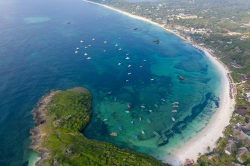 Hotel Turtle Bay Beach Club