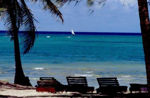 Hotel Turtle Bay Beach Club